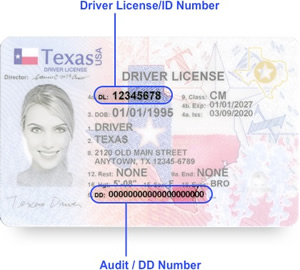 Easy Driving Record